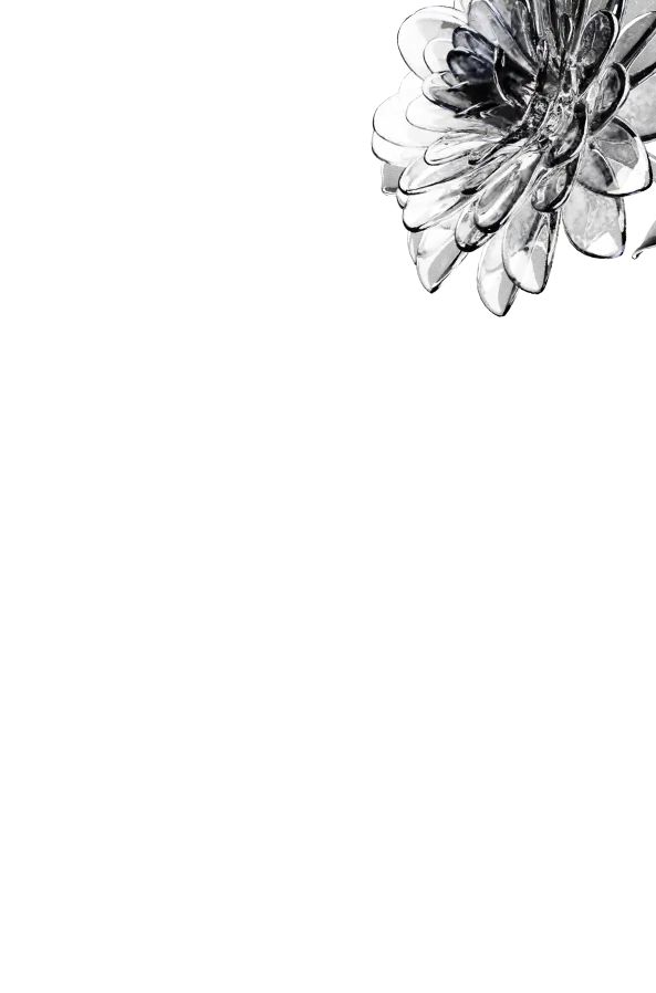 Founder Background 6