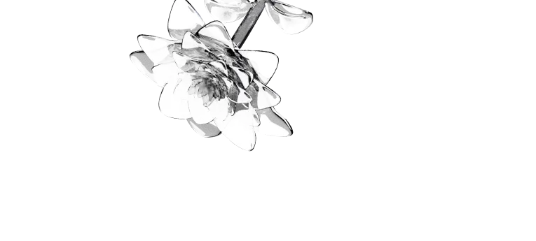 PMADs Background